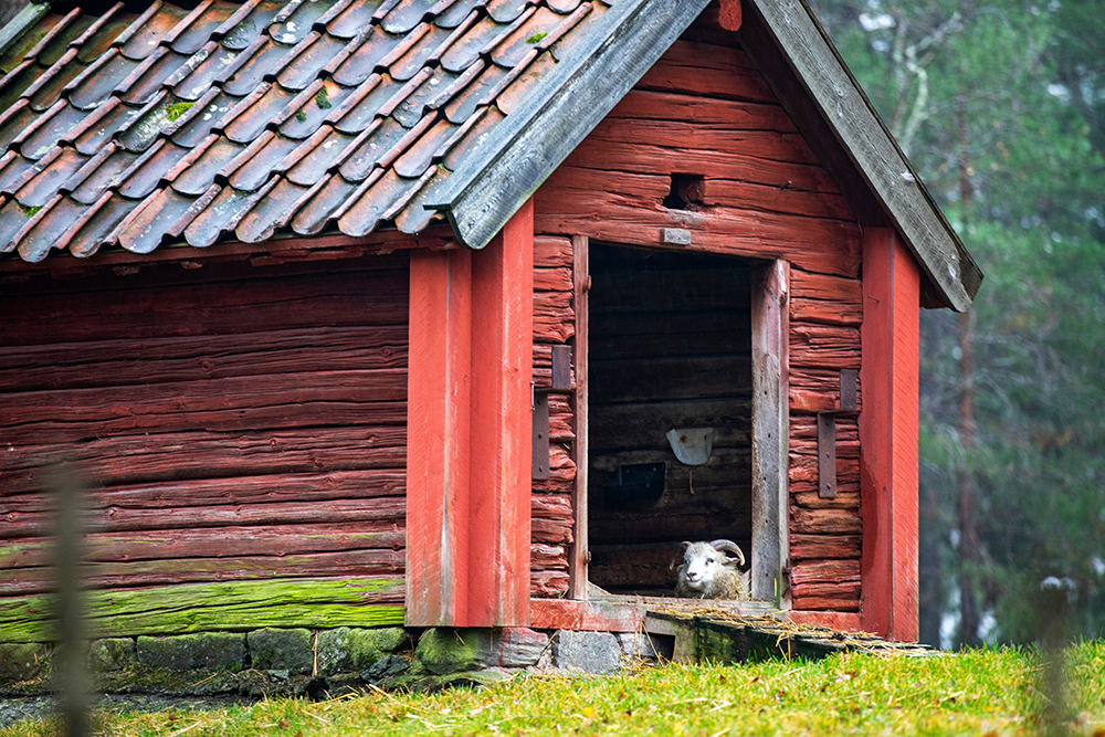Foto och textprojekt på Torekällberget för grundskolan under Kulturåret i Södertälje